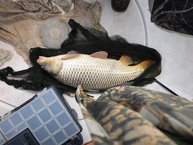 Sulina sept. 2013 - part. II - dsc00735.JPG